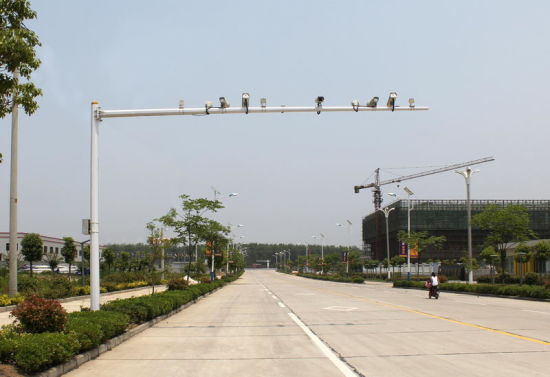 Professional International Standard Traffic Monitor Light Customizable Factory Direct